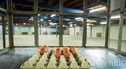 птичият грип остави без яйца кифли закусвални тексас