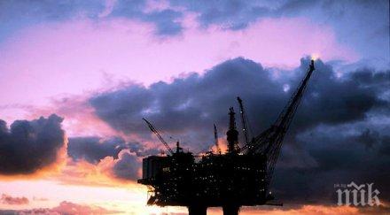 петролът йорк направи скок