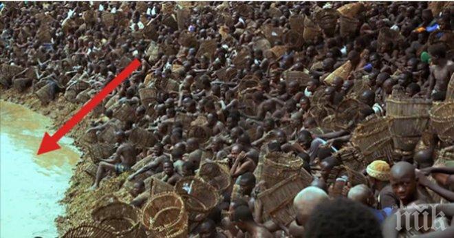 На пръв поглед изглеждаше, че се готвят за някакво шоу. Но това, което се случи след изстрела?!  Все още не мога да го проумея!