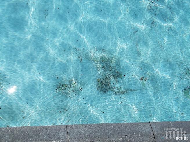 Жестоко се скарали на двама работници заради гафа с езерото в Пловдив 