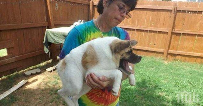 На тази жена ѝ беше казано, че новият ѝ домашен любимец трябва да бъде приспан, защото е различен!