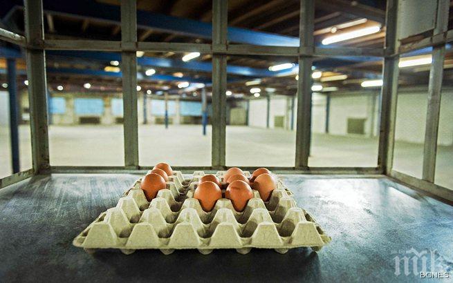 Птичият грип остави без яйца и кифли закусвални в Тексас