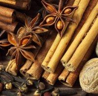 Канелата предпазва от вируси
