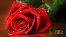 Правителството отпусна 500 хил. лв. на Община Казанлък за изграждането на Музея на розата