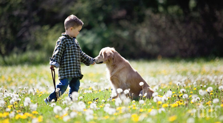 недъга куче превърна призвание