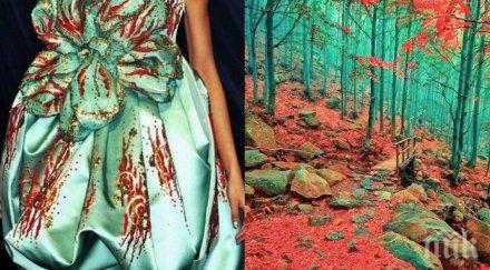 прекрасни рокли изкопирани природата