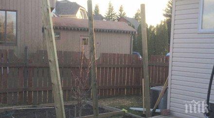 нейните любопитни съседи постоянно досаждаха намери уникално решение проблем