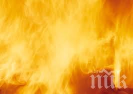 МОСВ: Няма опасни емисии във въздуха от пожара край Шишманци