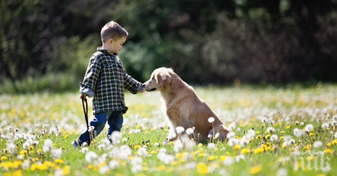 Недъга на това куче се превърна в призвание...