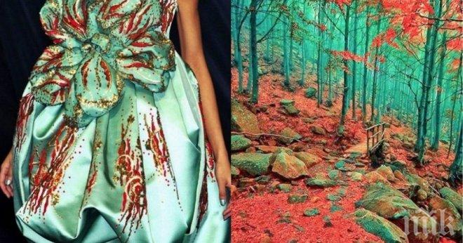 21 прекрасни рокли изкопирани от природата