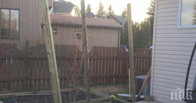 Нейните любопитни съседи постоянно й досаждаха. Тя намери уникално решение на този проблем!