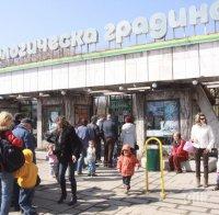 Цигани потрошили столичния зоопарк. Гаврата останала скрита за обществото, за да не се вдига напрежение