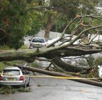 Пожарната в Пловдив: Лудница е в целия град (снимки)