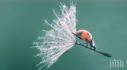 снимки показват една различна реалност