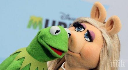 мис пиги почетна награда заслуги