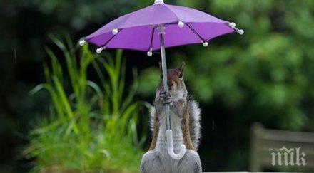катеричка намери начин скрие дъжда