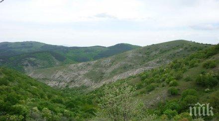 чистят резервата острица