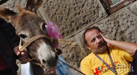 1000 евро килограм сръбско сирене магарешко мляко