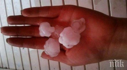 жена ранена градушката силистренско