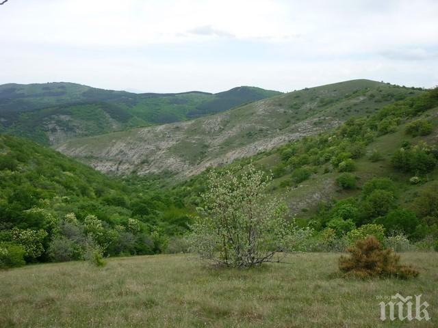 Чистят резервата „Острица“