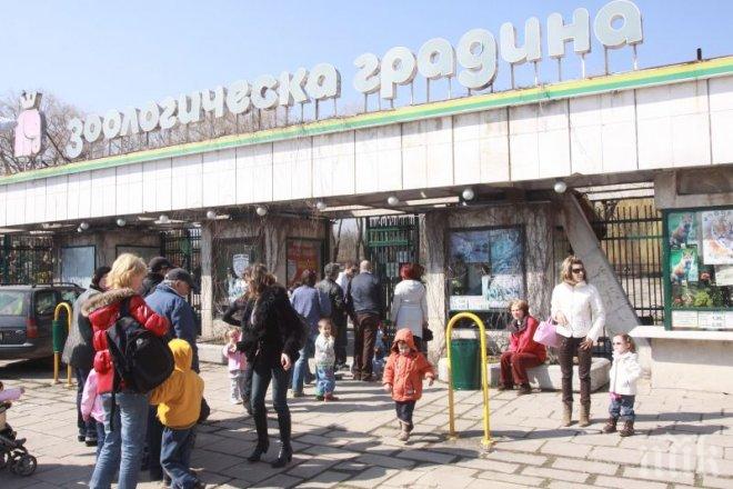 Цигани потрошили столичния зоопарк. Гаврата останала скрита за обществото, за да не се вдига напрежение