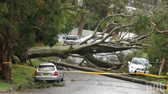 Пожарната в Пловдив: Лудница е в целия град (снимки)