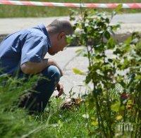 Кучета довлякоха човешки останки край Девня