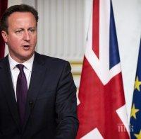 Дейвид Камерън ще гони министрите евроскептици