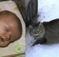 Изоставиха бебе. То беше на път да умре, но Бог му изпрати малък и невероятен герой!