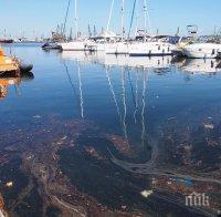 Нефтен разлив замърсява пристанище Варна