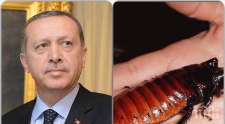 тормоз ердоган преместил новия палат заради хлебарките