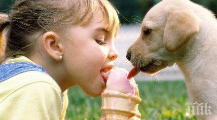 очевидни доказателства всяко едно дете нуждае домашен любимец