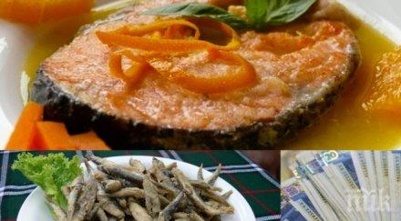 цакат нагло цацата сьомгата заведенията вижте мръсната схема ресторантьорите