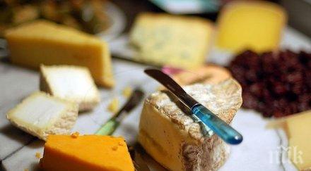 франция направи световно първенство сирена