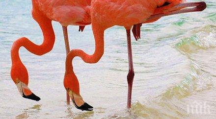 всичко хубаво идва умножено две