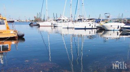 нефтен разлив замърсява пристанище варна