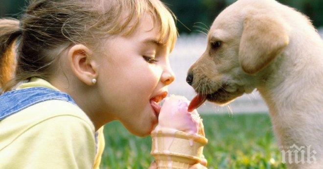 Очевидни доказателства, че всяко едно дете се нуждае от домашен любимец!