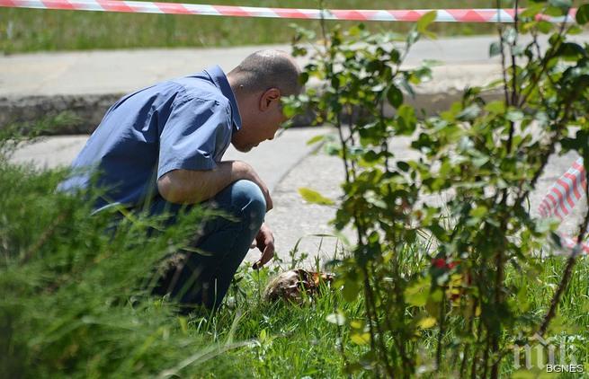 Кучета довлякоха човешки останки край Девня