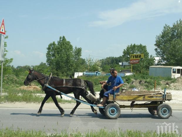 Ромска каруца уби моторист
