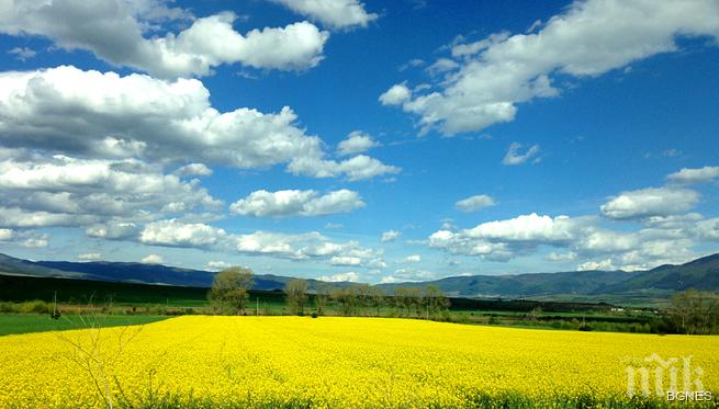 Метеоролози от БАН: Седмицата започва с жеги, в сряда и четвъртък ще вали, после жесток мор до над 32 градуса!