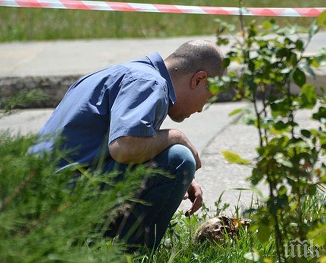 Човешките останки, открити край Девня, са на изчезнал пенсионер