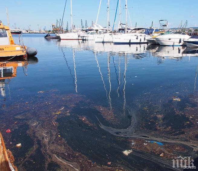Нефтен разлив замърсява пристанище Варна