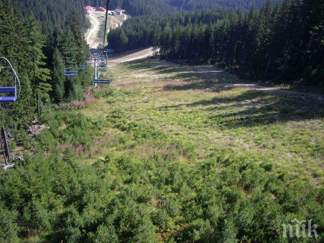 Лъснаха нови безобразия на пишман еколога Тома Белев