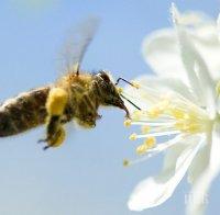Предимно слънчево и топло