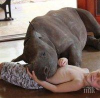 Бракониери убиват майката му. Сега той има нужда от много любов...