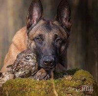 Едно необикновено приятелство