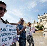 Скромен протест срещу споразумението за Трансатлантическо партньорство за търговия и инвестиции