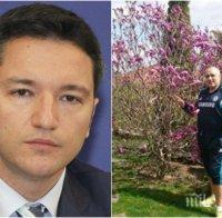 Вигенин шашна 