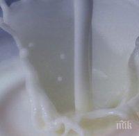 Нов скандал! Истинско ли е кравето масло? Търговци продължават да влагат в продуктите немлечни мазнини