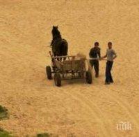 Безумие! Роми крадат пясък от плажа в Синеморец